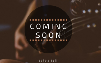 Nuevas actuaciones 2017