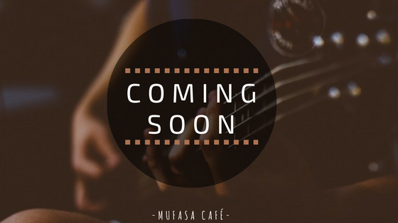 Nuevas actuaciones 2017